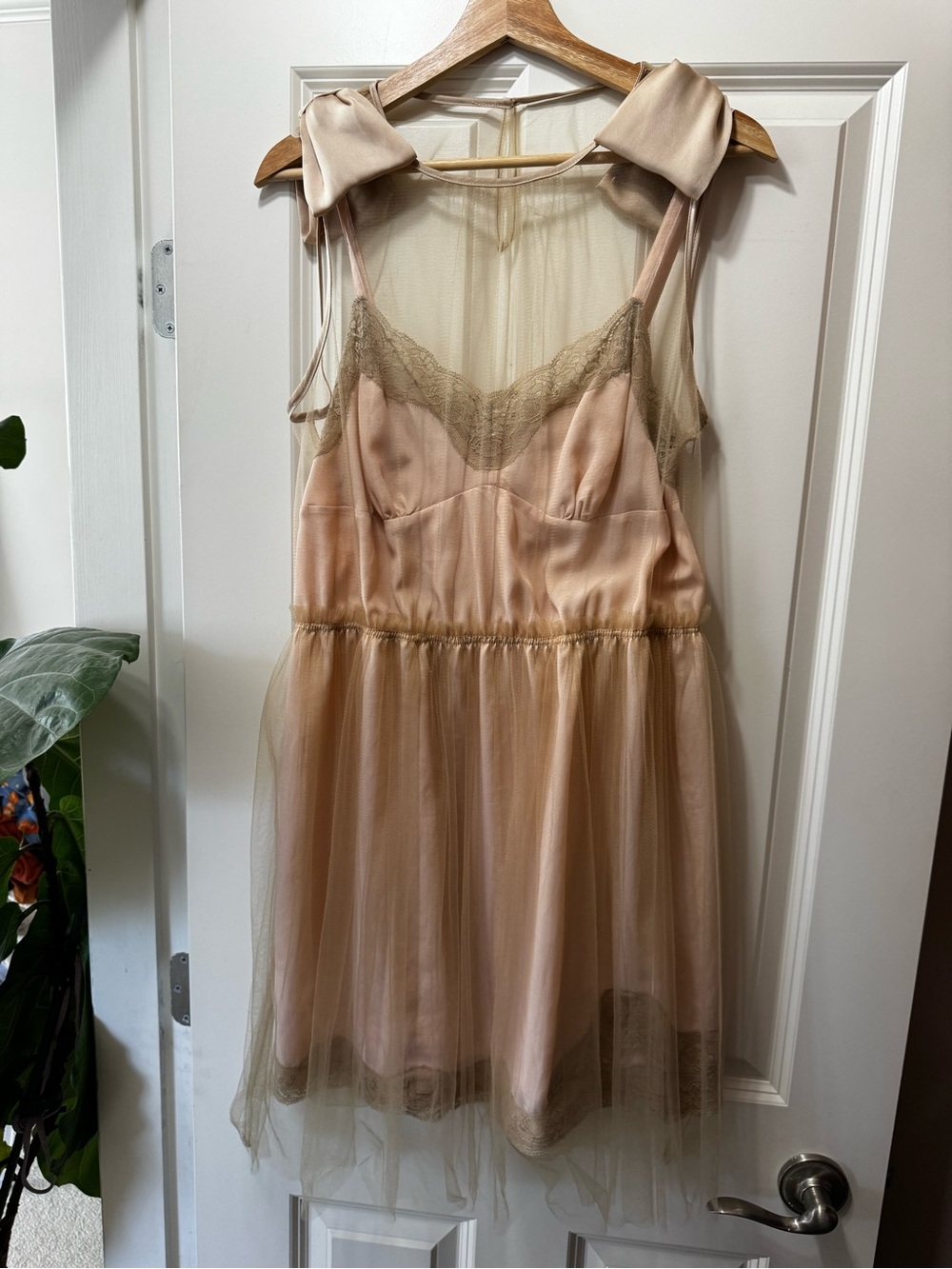 Rodarte Blush and Champagne Sheer Tulle Slip Dress